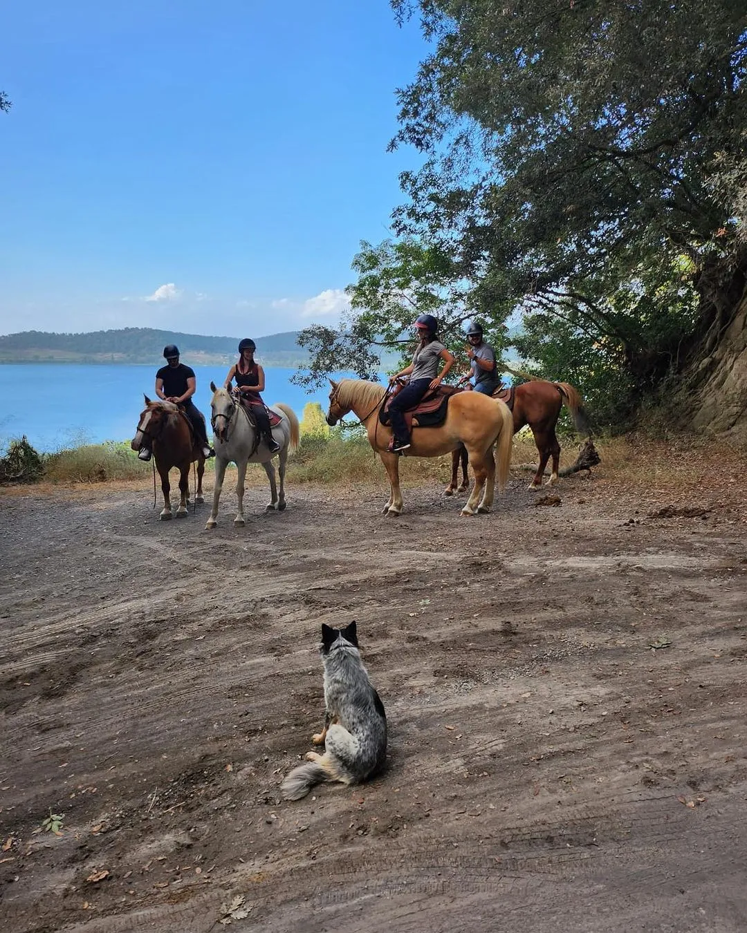 Passeggiata a cavallo in riva al Lago di Martignano