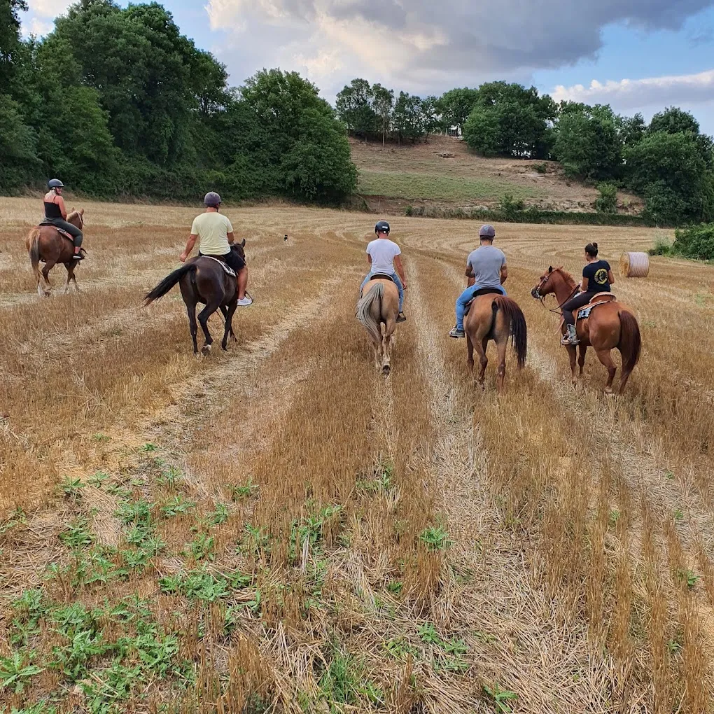 Passeggiata a cavallo a Viterbo nella natura