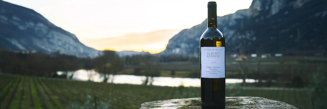 Visita in cantina e degustazione di Pinot Grigio in Val d'Adige