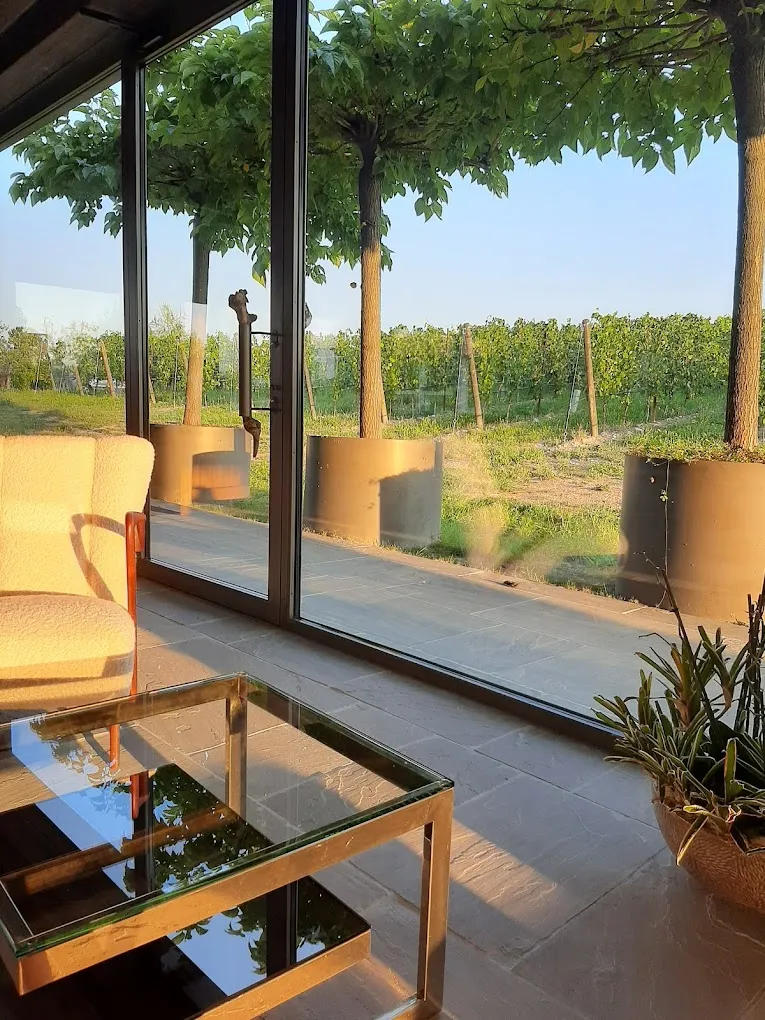 Degustazione di Lugana e visita in cantina a Desenzano del Garda