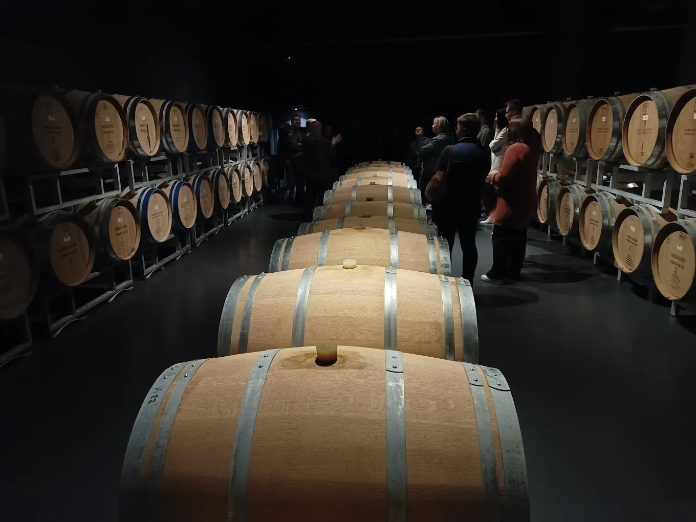 Degustazione di Lugana e visita in cantina a Desenzano del Garda