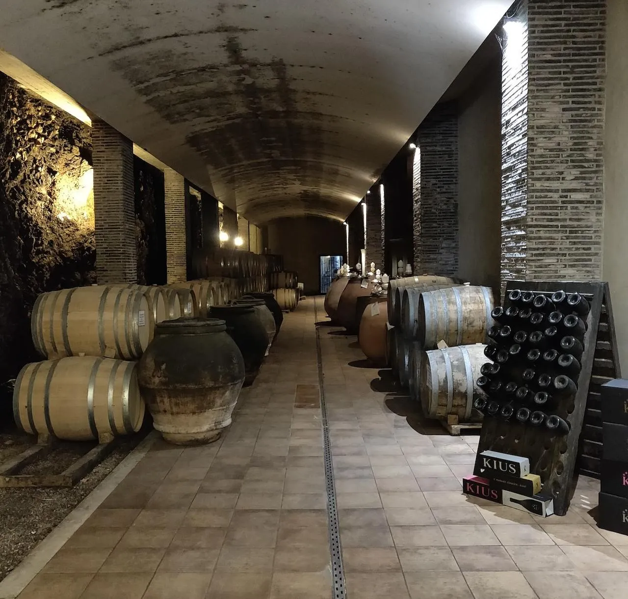 Passeggiata a cavallo fuori Latina con degustazione e visita alla cantina Marco Carpineti