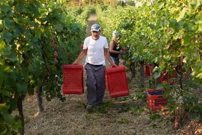 Degustazione vini e visita in cantina da Calatroni Vini