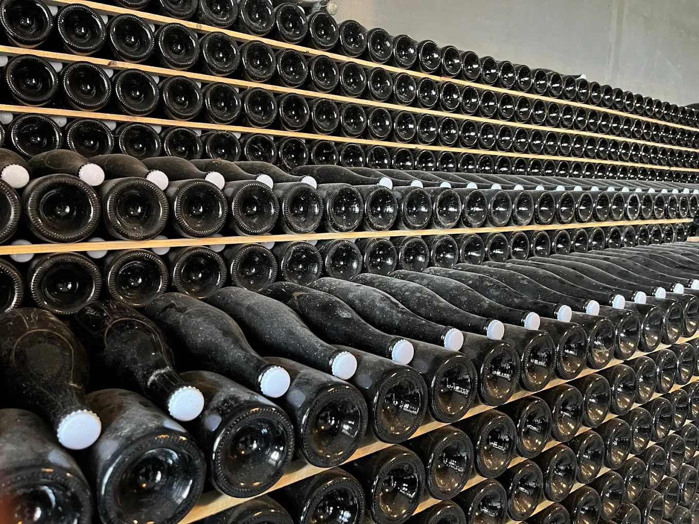 Degustazione vini e visita in cantina da Calatroni Vini