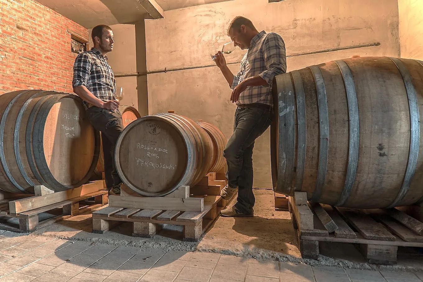 Degustazione vini e visita in cantina da Calatroni Vini