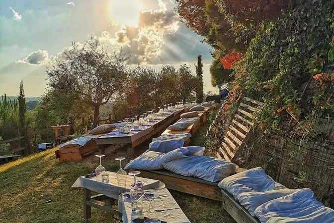 Picnic sulle colline di Modena tra gli uliveti