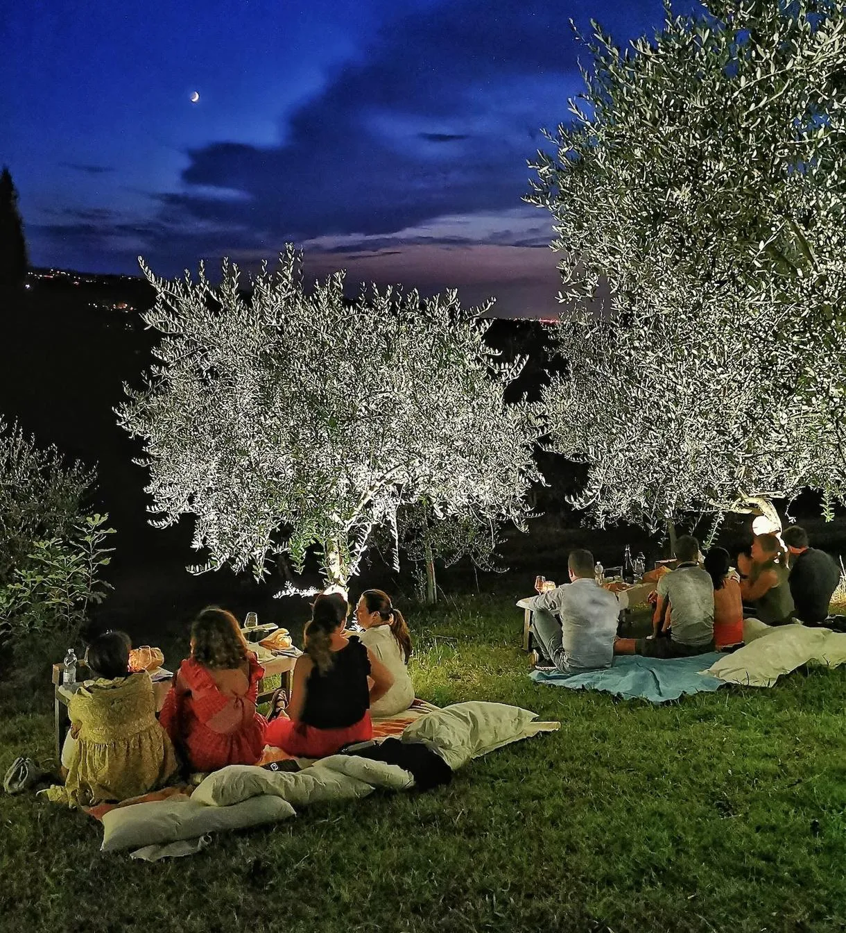 Picnic sulle colline di Modena tra gli uliveti