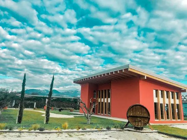 Degustazione di rosè e visita della bio winery in Valtenesi sul Lago di Garda