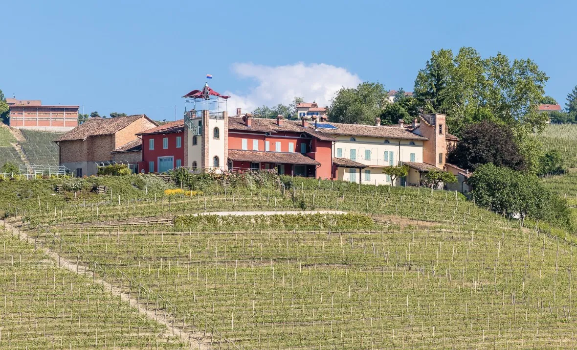 Degustazione di Dolcetto e Barolo a Castiglione Falletto