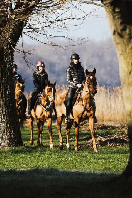 Passeggiata a cavallo panoramica sul Lago di Lecco