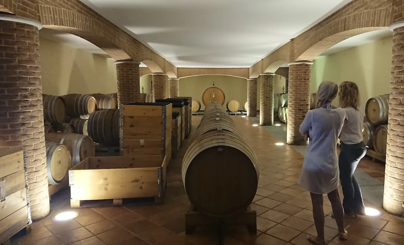 Visita in cantina e degustazione sulle colline di Montemagno