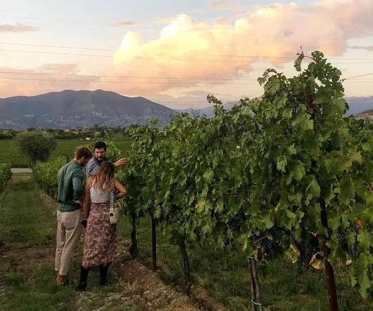 Degustazione e visita di una cantina familiare in Franciacorta
