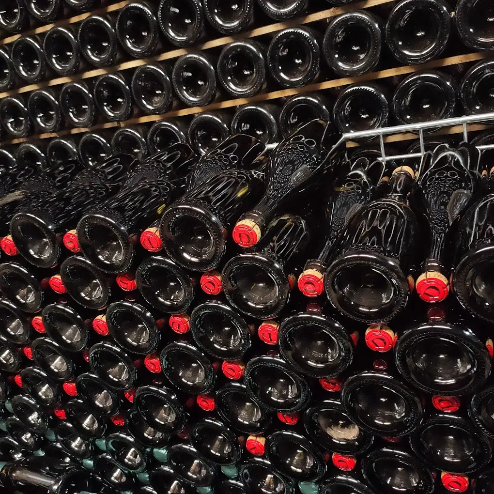 Degustazione e visita di una cantina familiare in Franciacorta