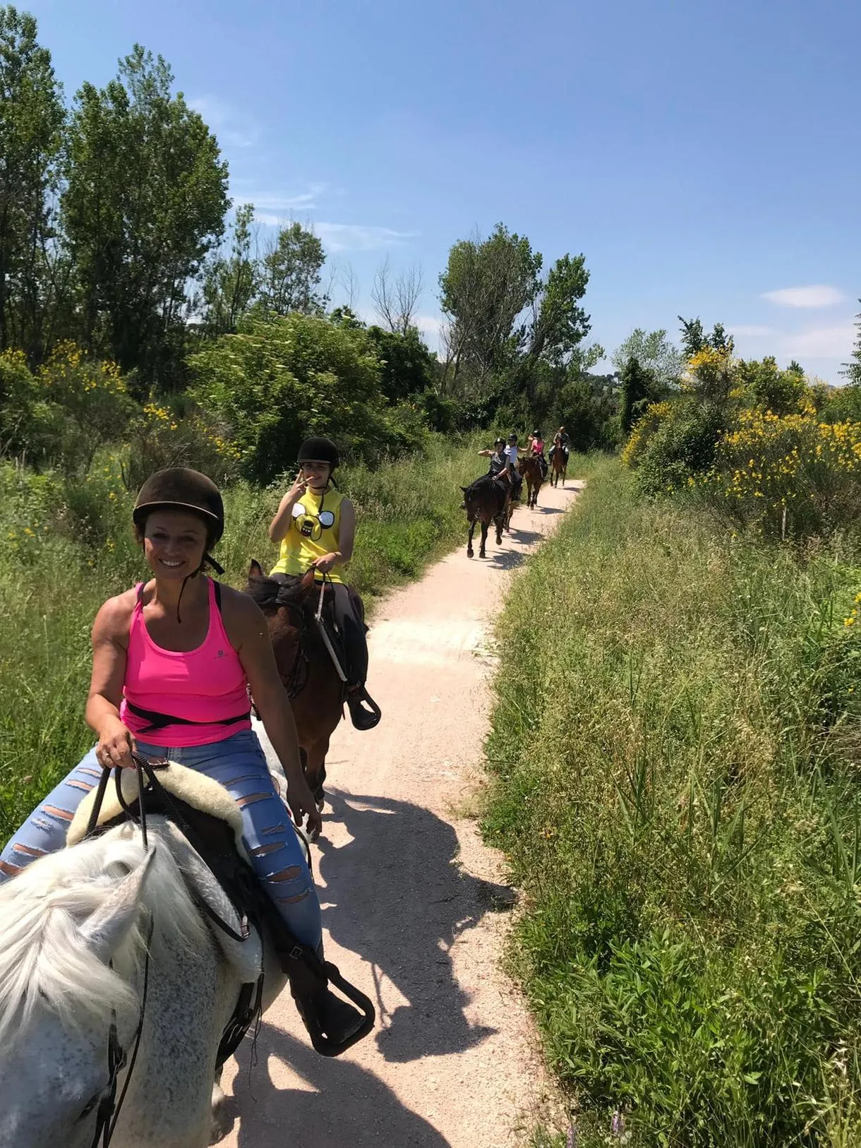 Passeggiata a cavallo in Riviera Romagnola da Misano Adriatico
