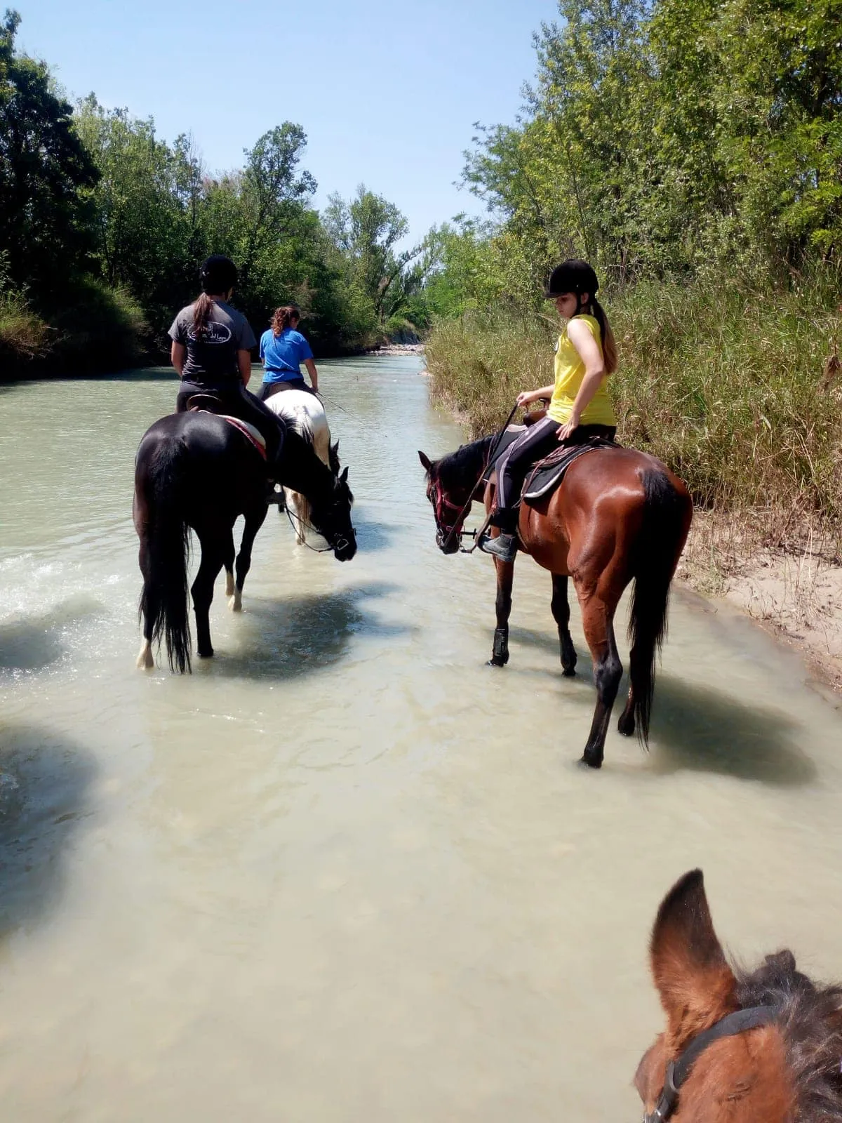 Passeggiata a cavallo in Riviera Romagnola da Misano Adriatico