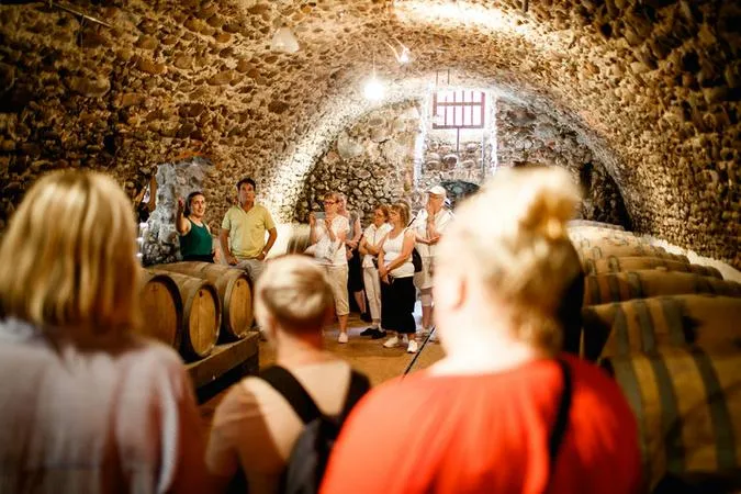 Visita in cantina e degustazione vini a Valeggio sul Mincio