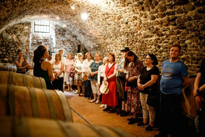 Visita in cantina e degustazione vini a Valeggio sul Mincio