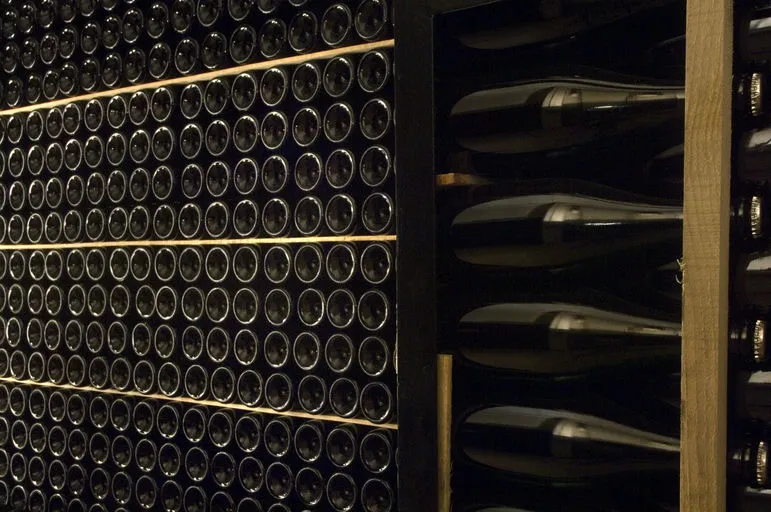 Degustazione vini e visita dell'azienda agricola Ricci Curbastro