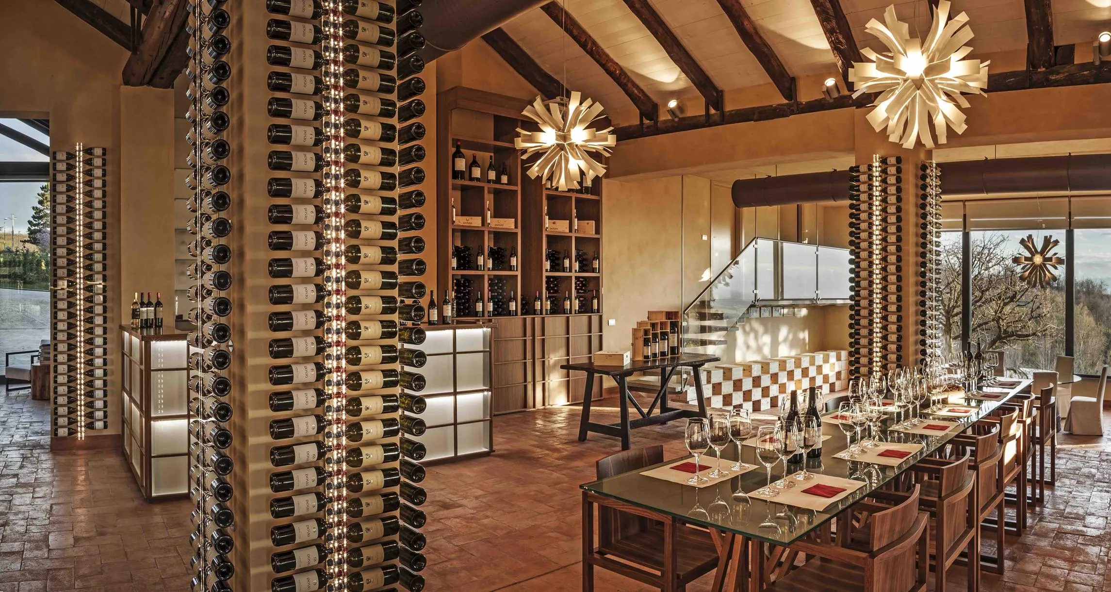 Degustazione vini con visita della cantina Dosio e dei suoi vigneti a La Morra