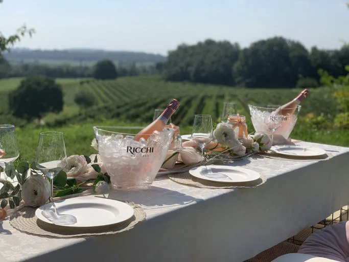 Degustazione vini tra le Colline Moreniche e il Lago di Garda