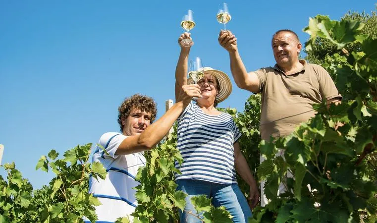 Degustazione di vini Teresa Soria con passeggiata nei vigneti eroici