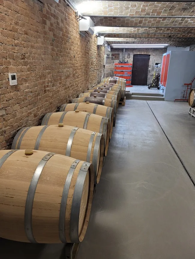 Degustazione di vini Teresa Soria con passeggiata nei vigneti eroici