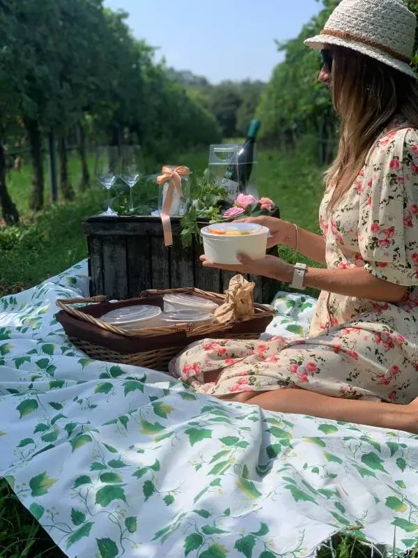 Picnic in vigna con visita in cantina sulle Colline Moreniche