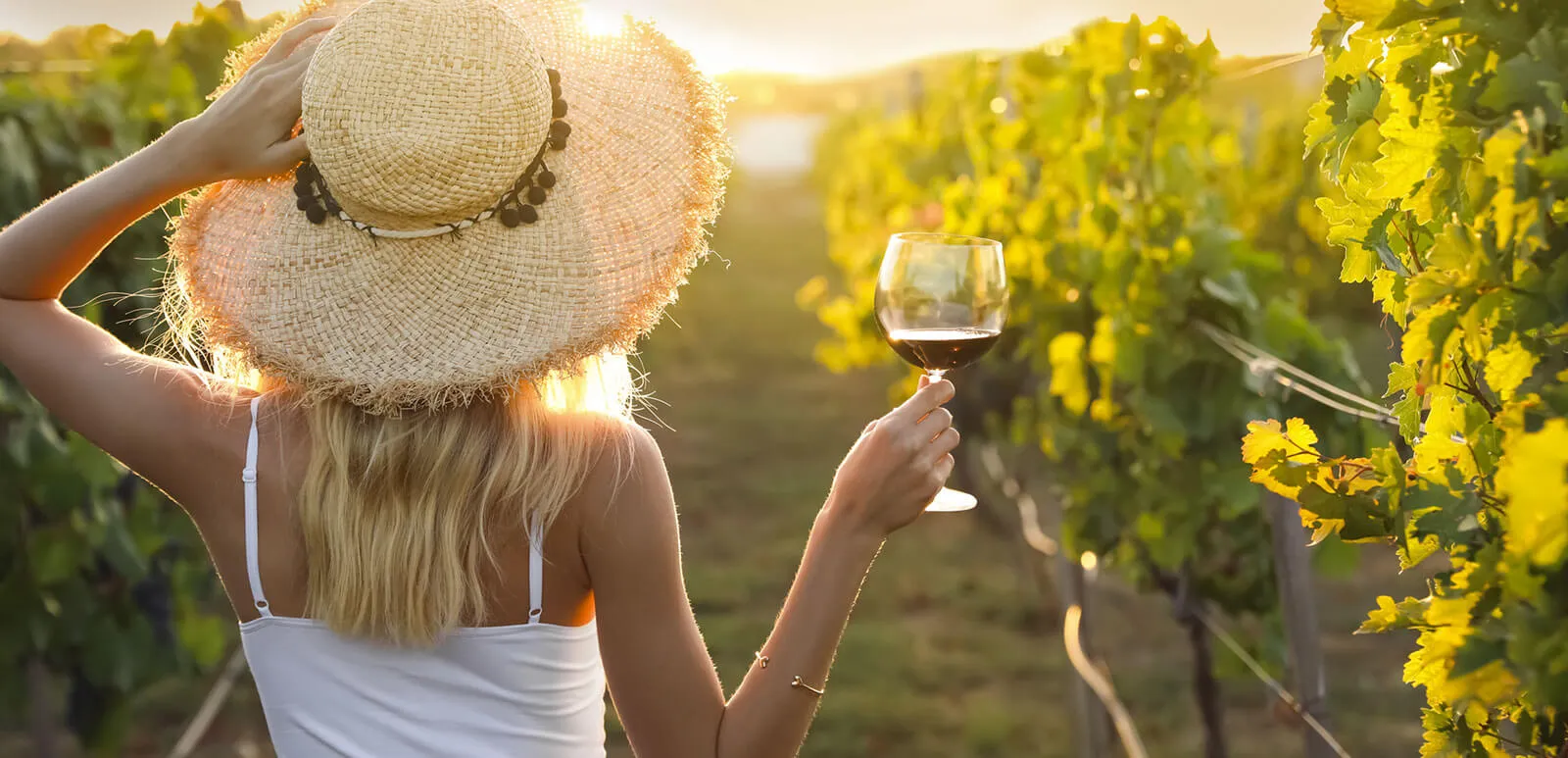 Picnic in vigna con visita in cantina sulle Colline Moreniche