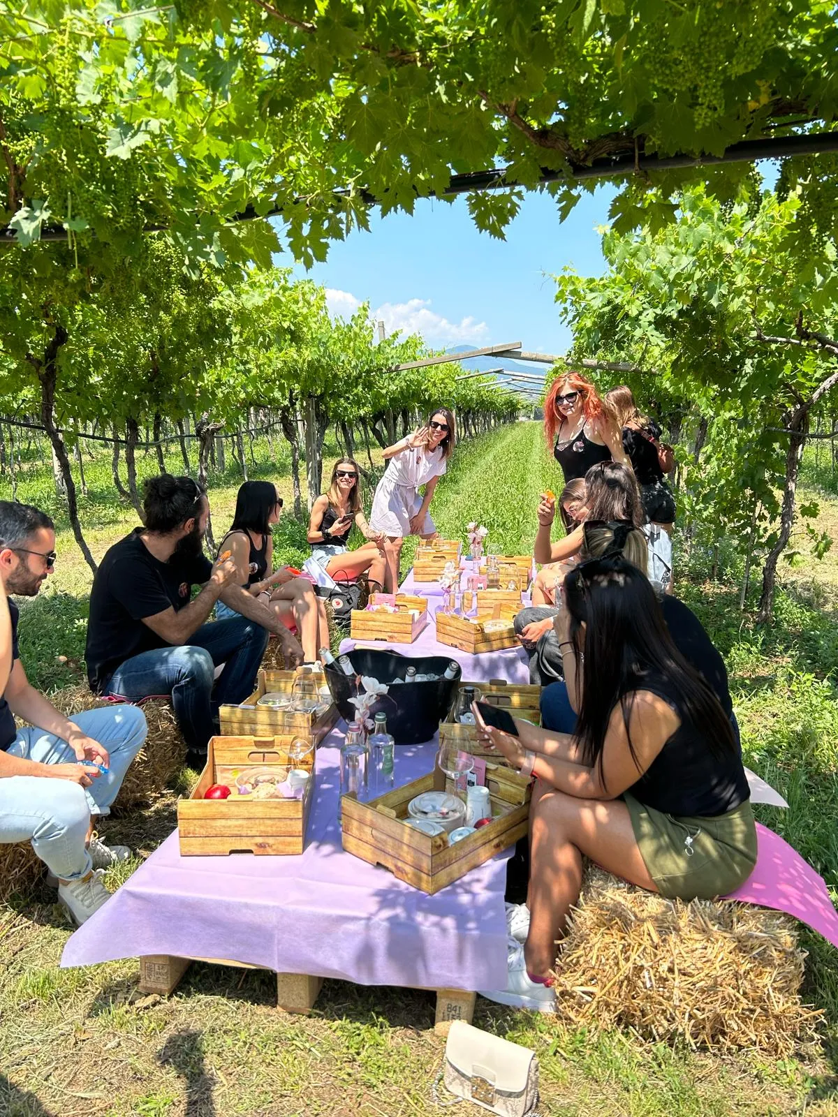 Picnic in vigna fuori Verona con degustazione vini