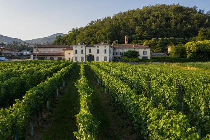 Visita alla cantina Antica Fratta in Franciacorta con degustazione vini