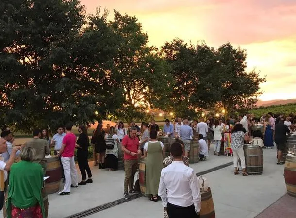 Visita in cantina e degustazione vini a Vo' Euganeo