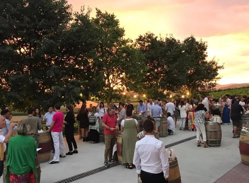 Visita in cantina e degustazione vini a Vo' Euganeo