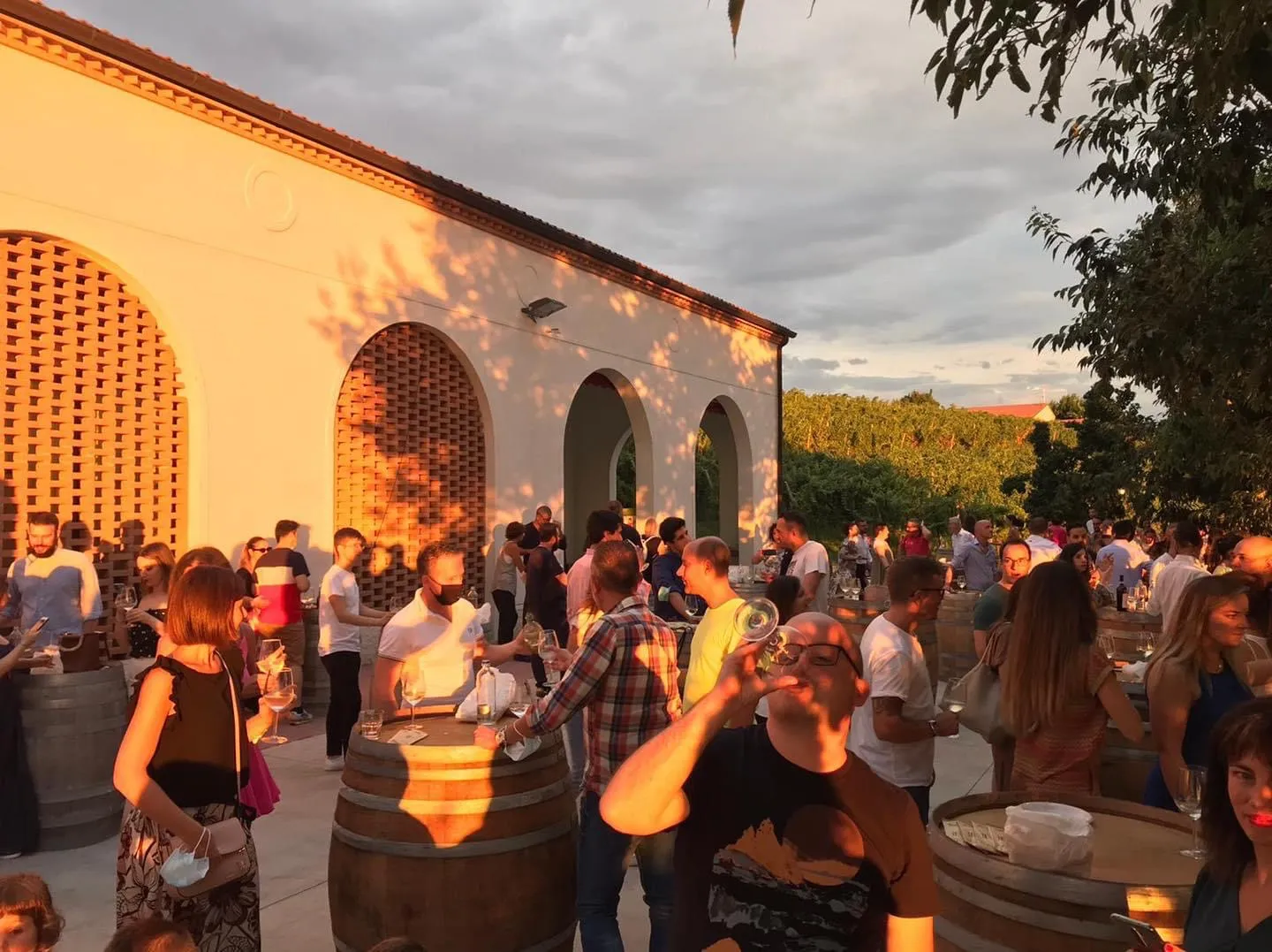 Visita in cantina e degustazione vini a Vo' Euganeo