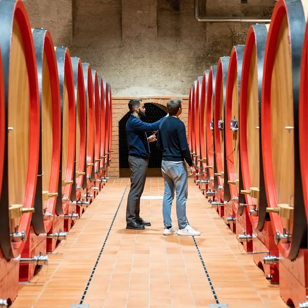 Degustazione vini e visita delle Cantine Giacomo Montresor di Verona