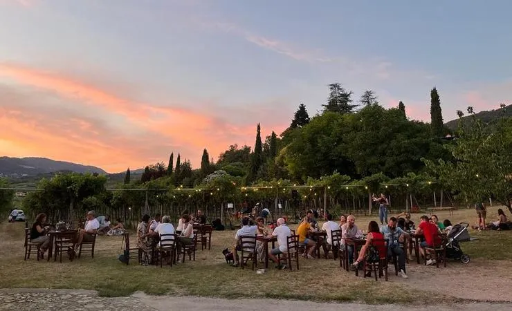 Degustazione di vini della Valpolicella e tour guidato alla cantina Nepos Villae