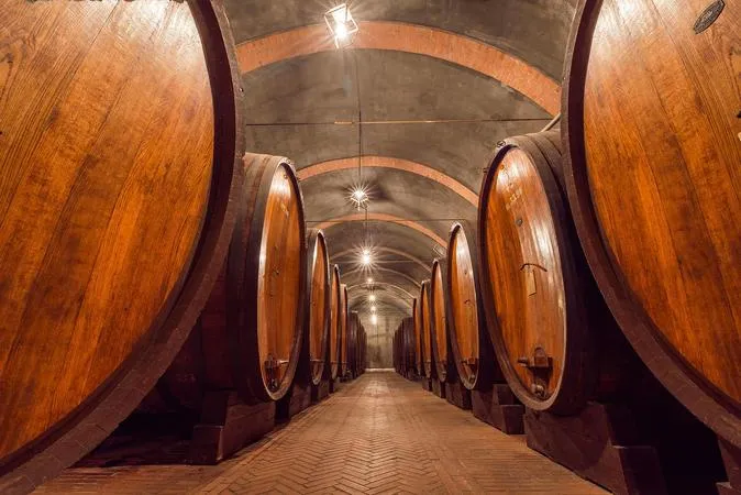 Visita ai Musei e alle cantine storiche Bersano di Nizza Monferrato con degustazione