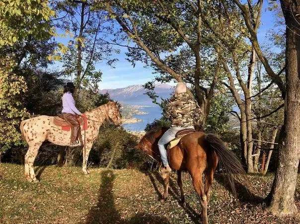 Passeggiata a Cavallo sulle Colline Moreniche