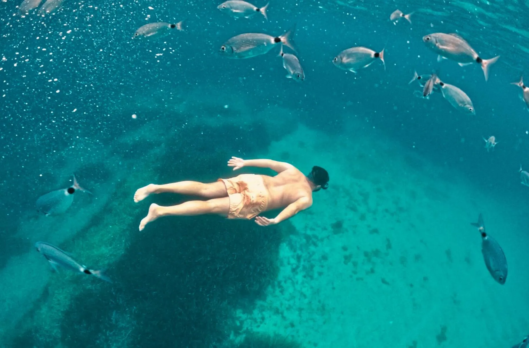 Tour in gommone e snorkeling nel Parco di Porto Conte di Alghero