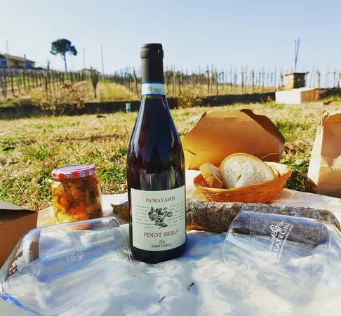 Picnic in vigna con degustazione di vini dell'Oltrepò