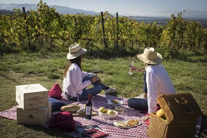 Picnic in vigna con degustazione di vini dell'Oltrepò