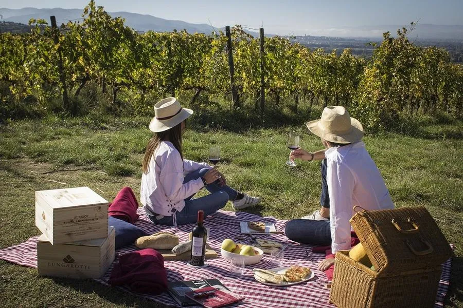 Picnic in vigna con degustazione di vini dell'Oltrepò