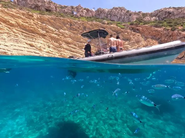 Mezza giornata in gommone nel parco naturale di Porto Conte con aperitivo