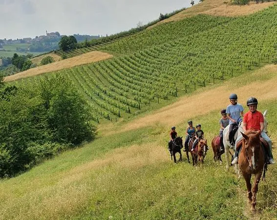 Passeggiata a cavallo in mezzo ai vigneti delle Langhe