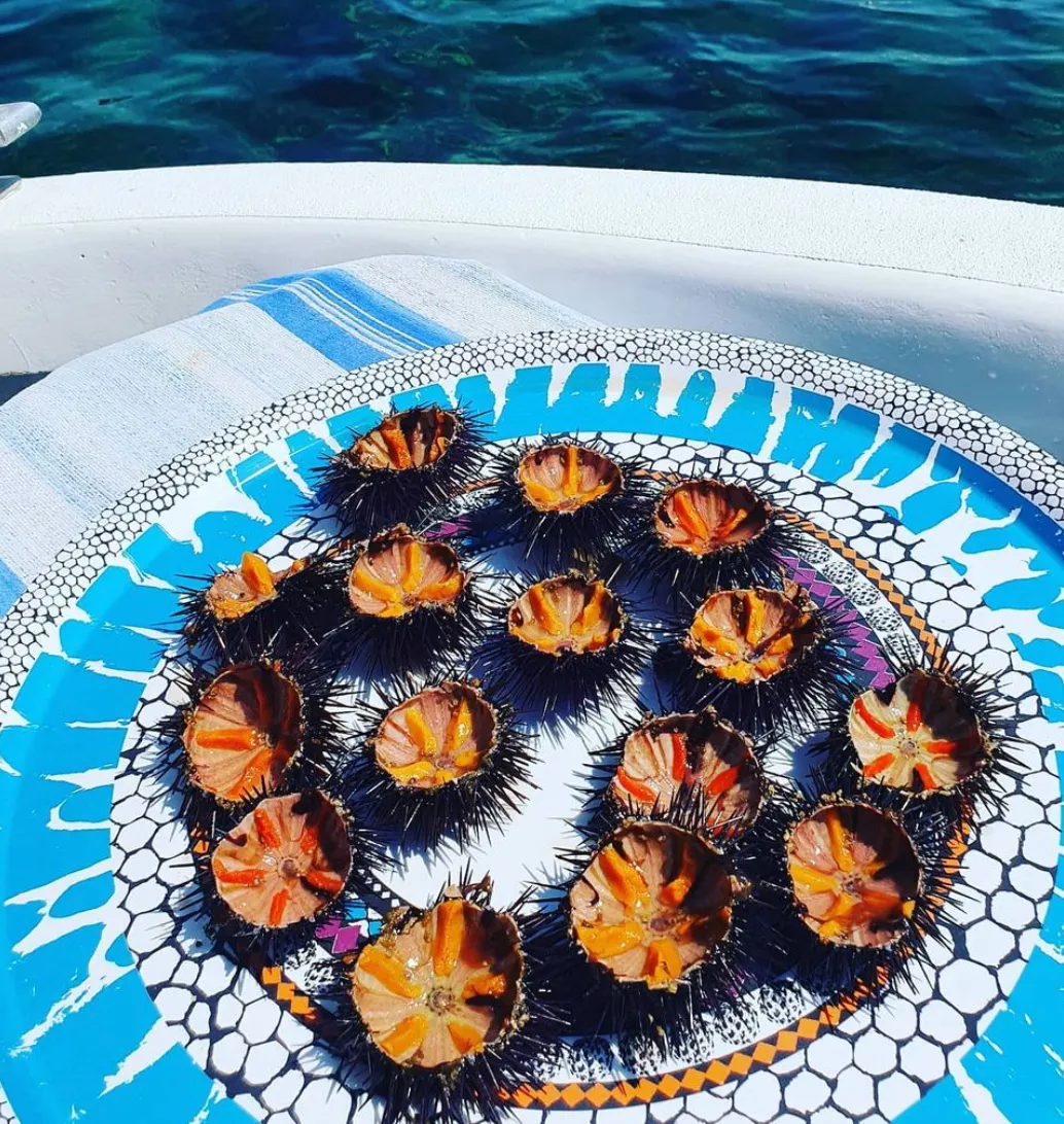 Giro in barca di gruppo di 3 ore a Santa Maria di Leuca