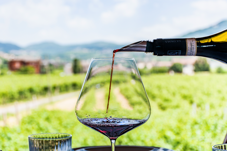 Le 4 migliori degustazioni vini in Valpolicella da regalare