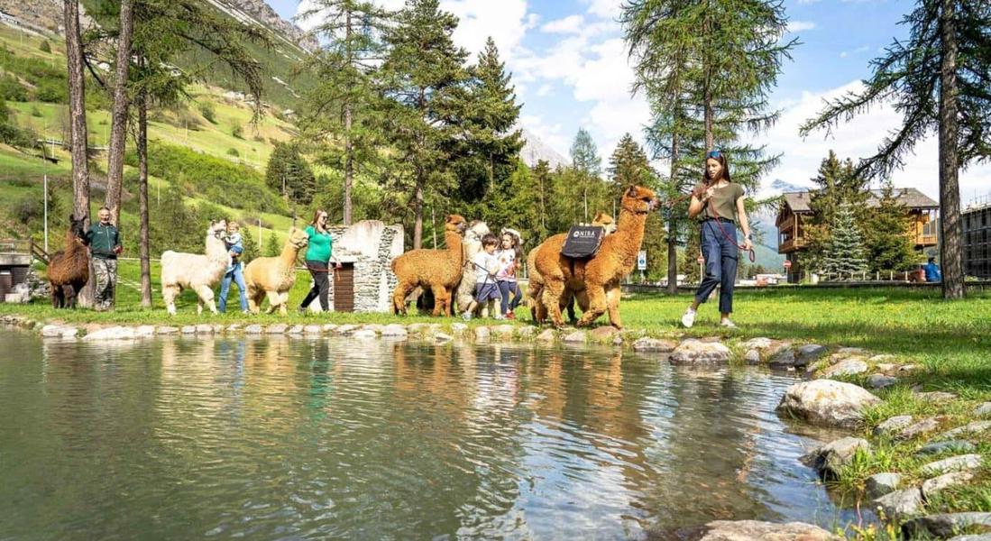 Le 20 migliori esperienze per la famiglia da regalare