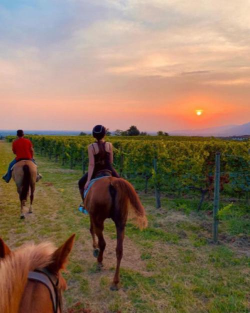 Le 11 migliori esperienze da regalare a Firenze