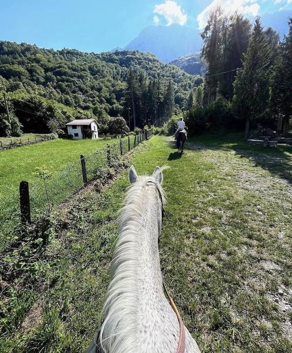 Le 10 migliori idee regalo per ragazza di 14 anni