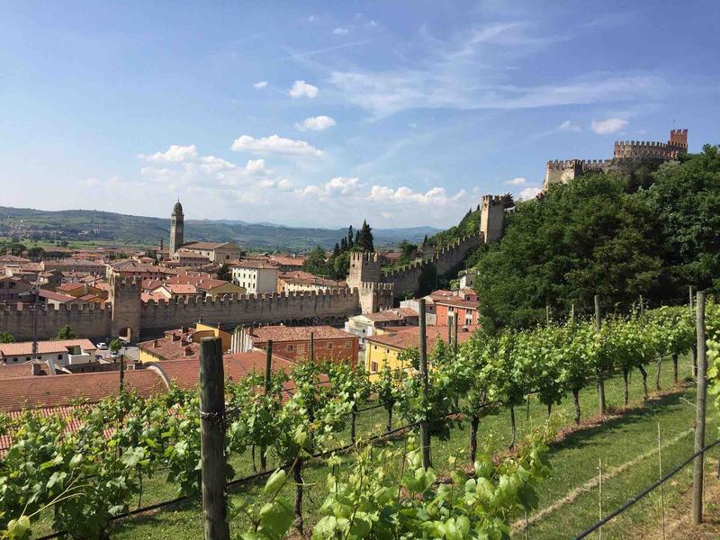 Le migliori 11 degustazioni vini in Veneto da regalare
