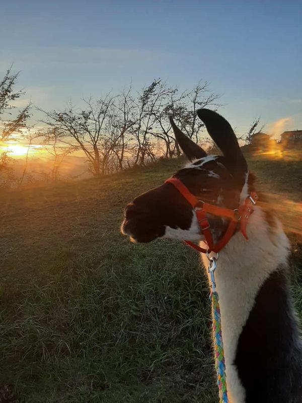 Le migliori 10 idee regalo per bambino di 6 anni